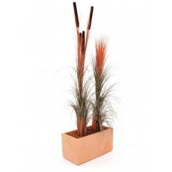 EUROPALMS Reed grass with cattails, light-brown, artificial, 152cm